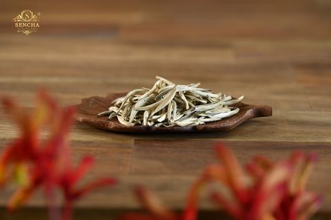 Silver Needle - White Tea